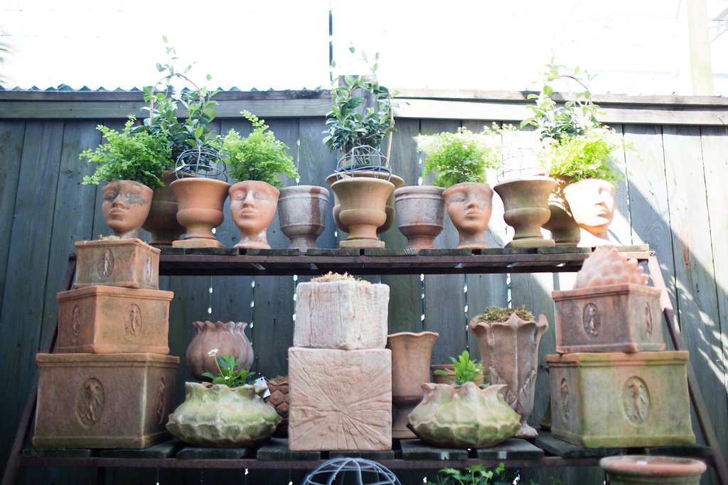 parterre61.jpg